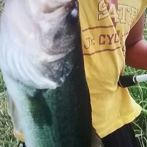 Meet your Posher, Braxton